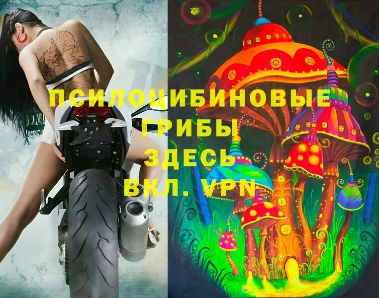 Галлюциногенные грибы Magic Shrooms  Ковдор 